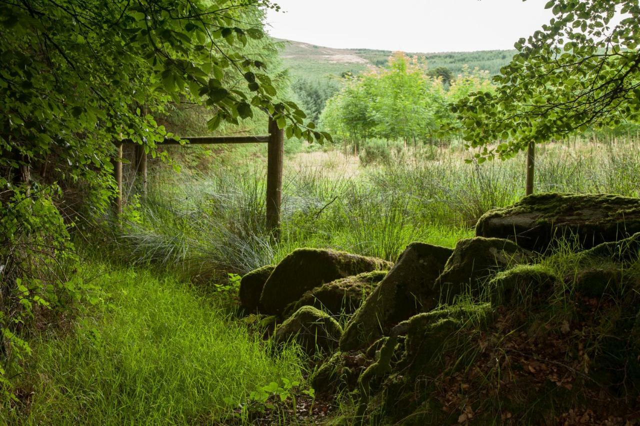 The Wicklow Escape (Adults Only) Donard Exterior photo
