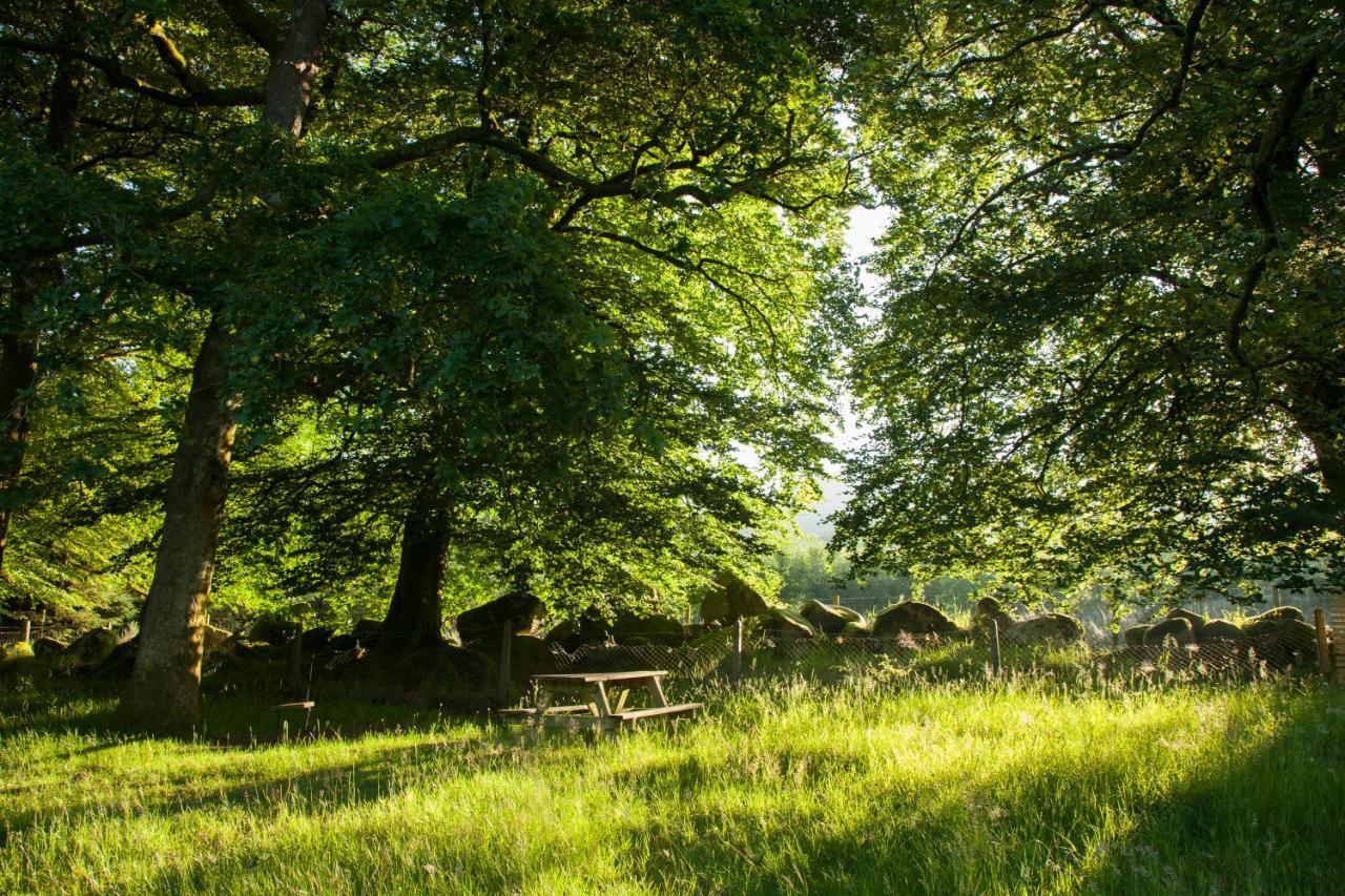 The Wicklow Escape (Adults Only) Donard Exterior photo